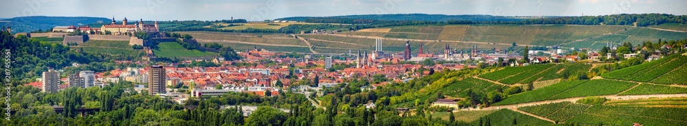 Blick über Würzburg mit Weinbergen