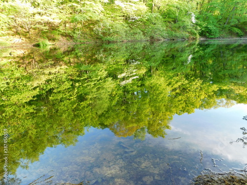 Mirror Image on Water 