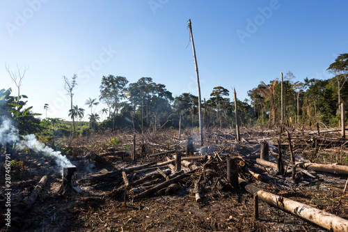 Amazon rainforest burning under smoke in sunny day in Acre, Brazil near the border with Bolivia. Concept of deforestation, fire, environmental damage and crime in the largest rainforest on the planet.