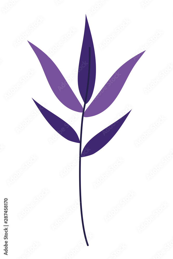 Isolated leaf vector design vector illustration Isolated leaf vector design vector illustration