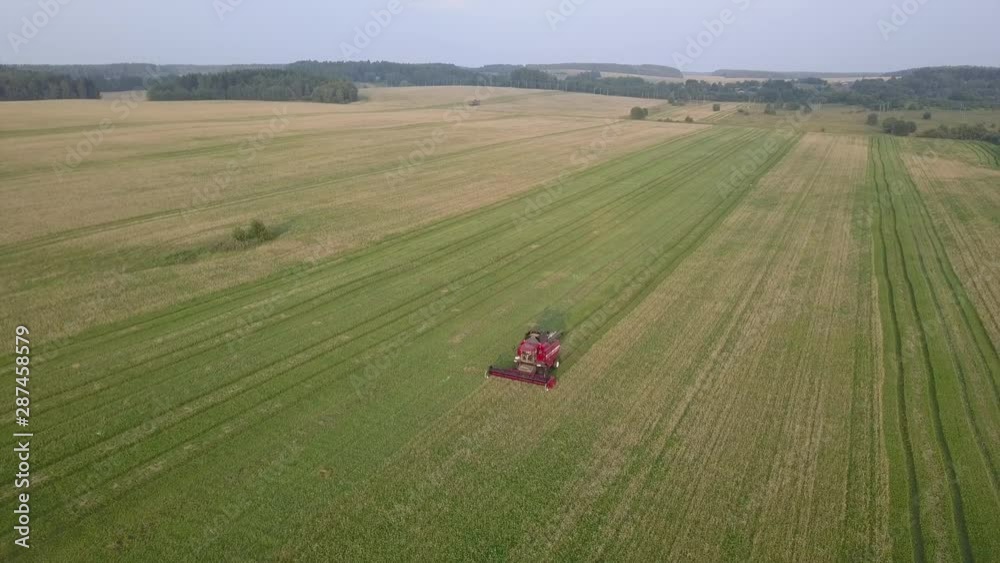 Aerial harvester machine cuts wheat crop in field. Agriculture food production. Red combine harvesting, collects ripe wheat grains, view from above