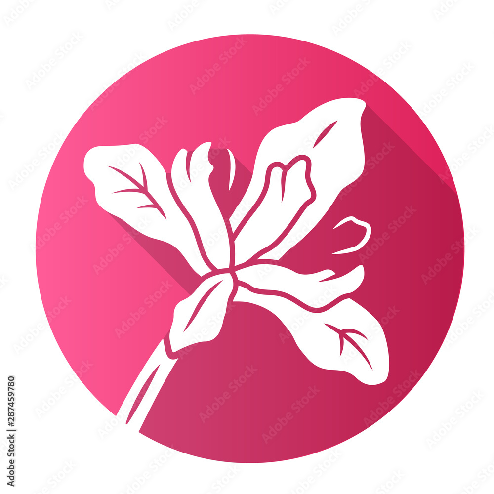 Douglas iris plant pink flat design long shadow glyph icon Douglas iris plant pink flat design long shadow glyph icon