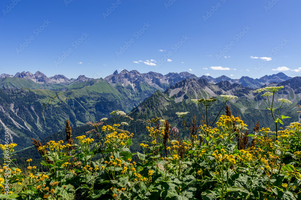 Panorama view on mountain landscapes at Fellhorn peak, Germany.