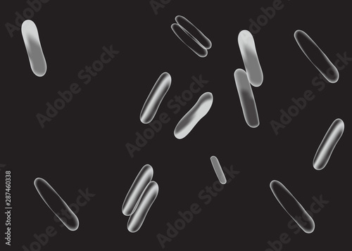 Micro bacterium and therapeutic bacteria organisms.