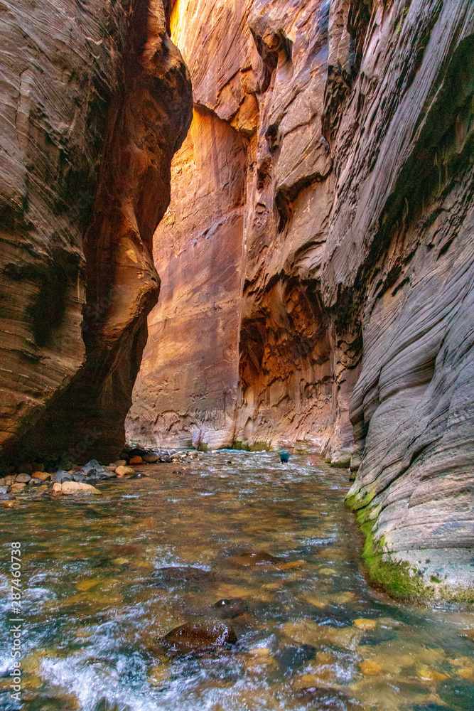 Steep Cliffs of the Zion Narrows in 'Wall Street' Steep Cliffs of the Zion Narrows in 'Wall Street'