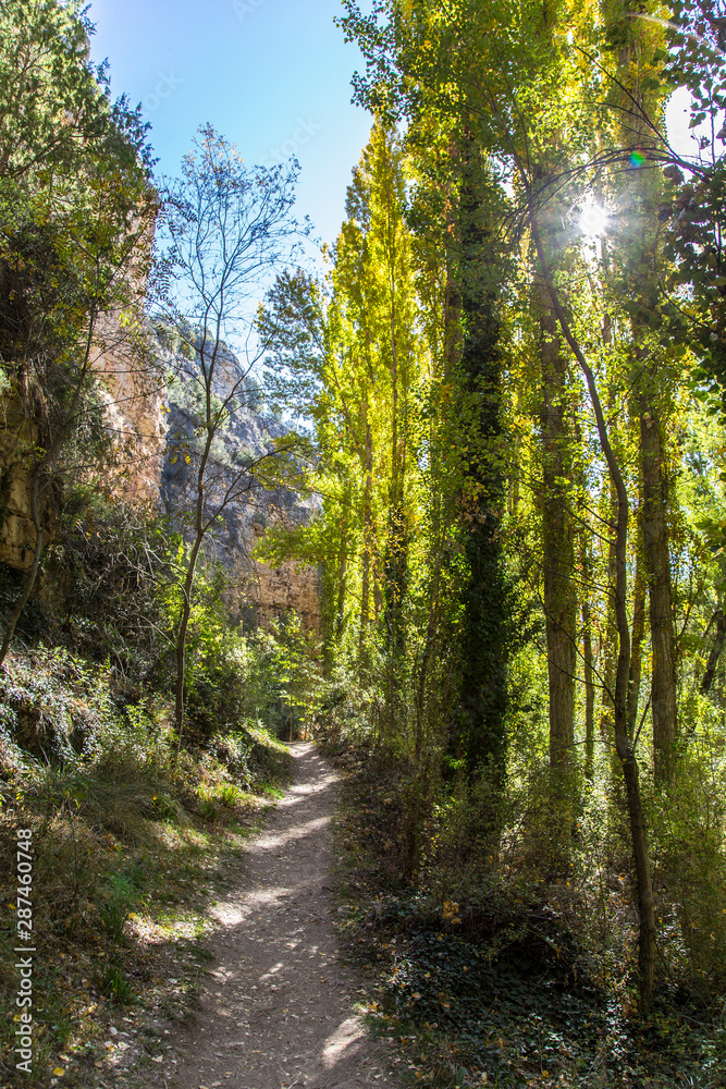The beautiful path of the Hoces del Duraton natural park in Segovia, Spain The beautiful path of the Hoces del Duraton natural park in Segovia, Spain