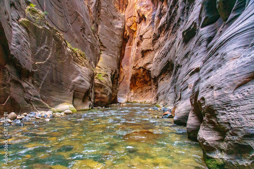 The Virgin River Carves the Sandstone Walls of the Narrows
