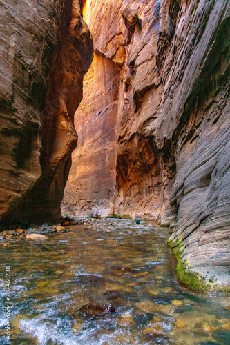 Steep Cliffs of the Zion Narrows in  Wall Street 