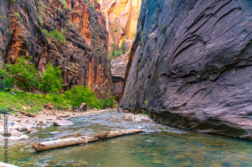 The Virgin River in the Zion Narrows
