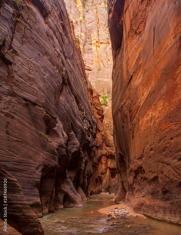 Zion Narrows and the Virgin River
