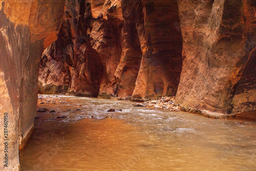 'Wall Street' Area of the Zion Narrows