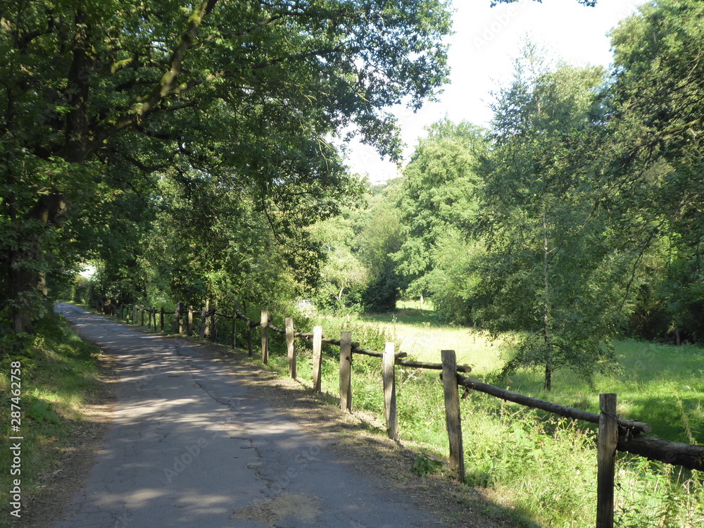 Waldweg