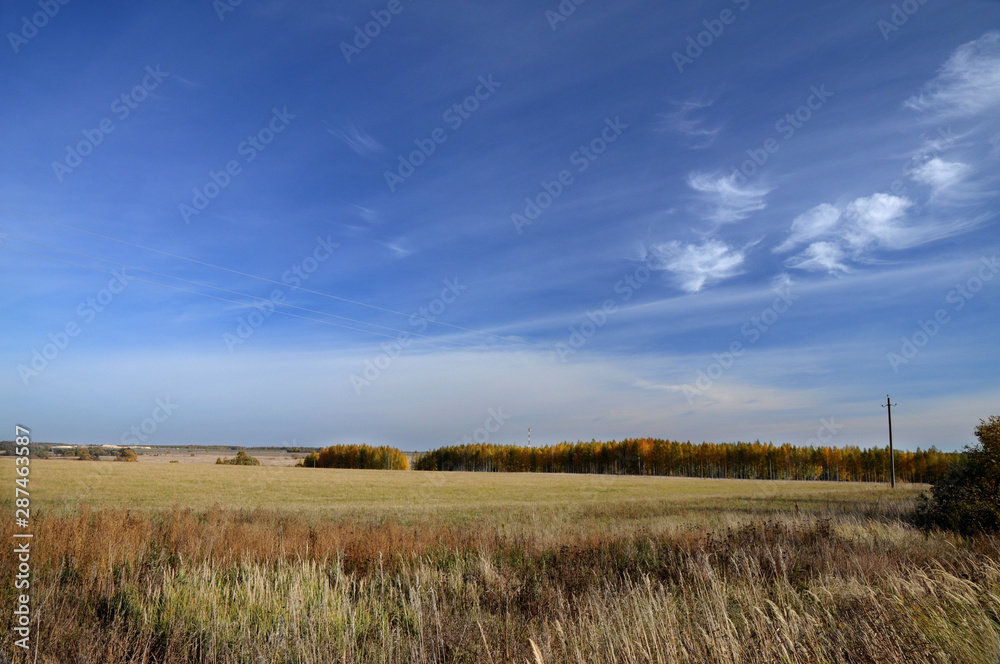 Autumn, endless field, sky, clouds, autumn forest in the background