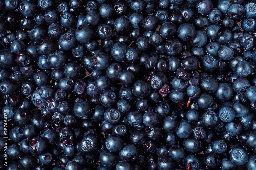 FRESH BLACKBERRY ASSEMBLED IN THE FOREST FRESH BLACKBERRY ASSEMBLED IN THE FOREST