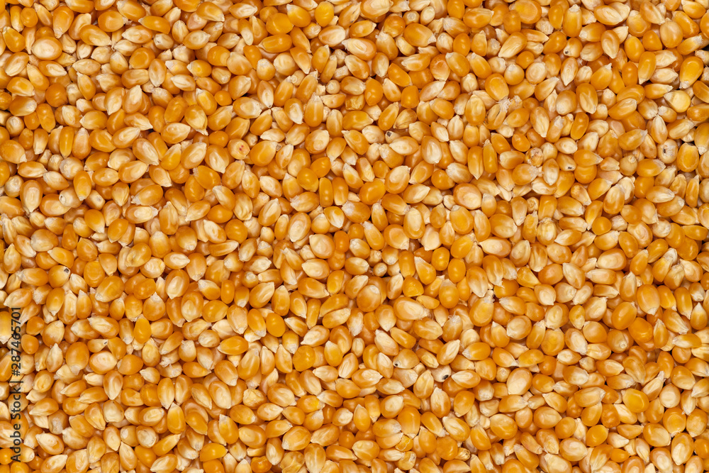 Close-up image of popping popcorn background Close-up image of popping popcorn background