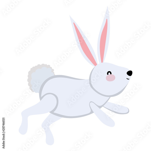Isolated rabbit cartoon vector design © Stockgiu