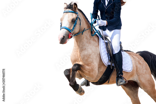 young rider on a horse jumping isolated on white background