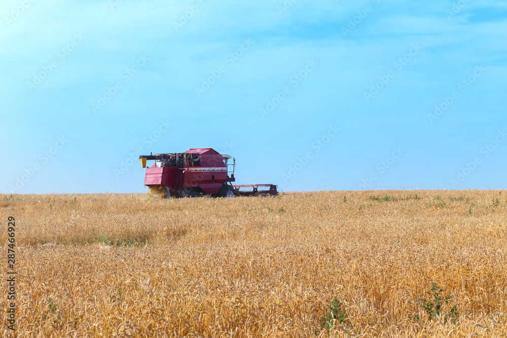 Obraz premium combine harvester