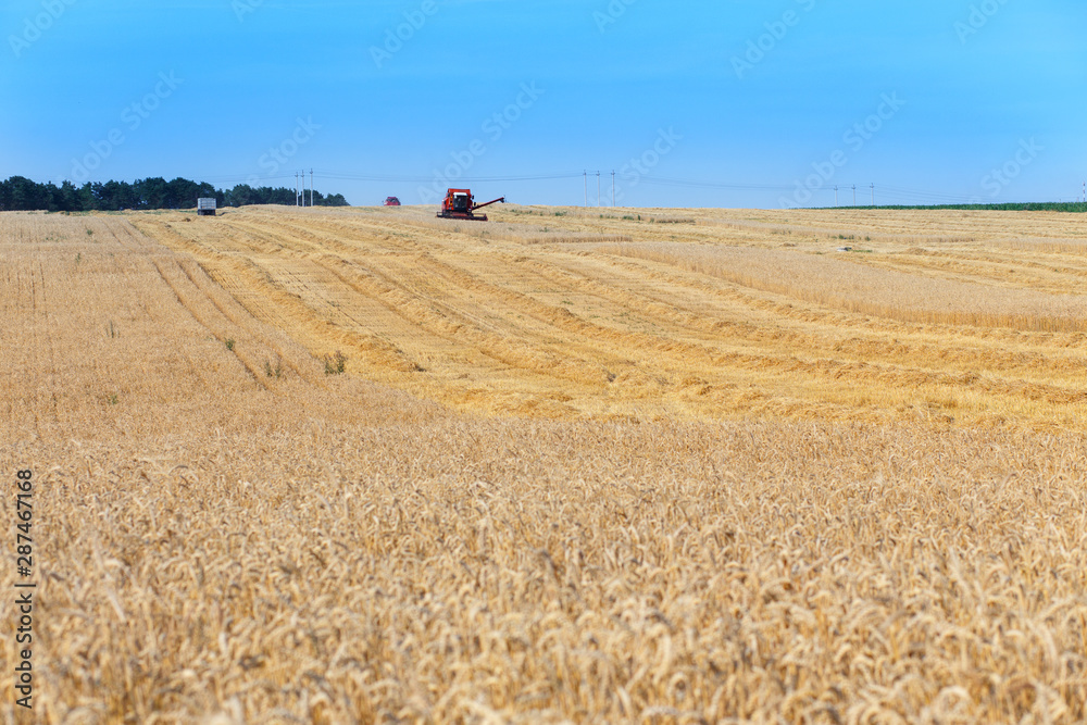Obraz premium combine harvester
