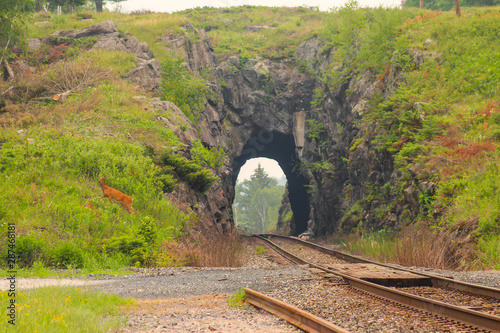 Tunnel Island photo