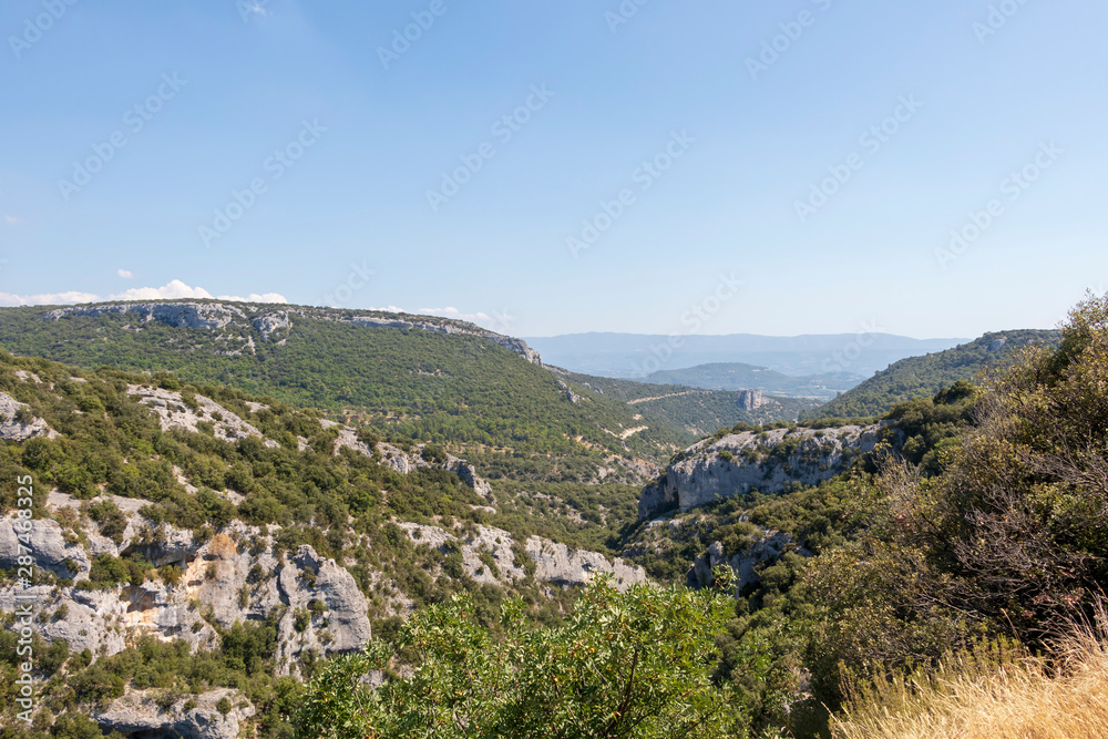 Canyon Gorges de la Nesque, gray cliffs with green forest in summer sunny day in Provence, South France