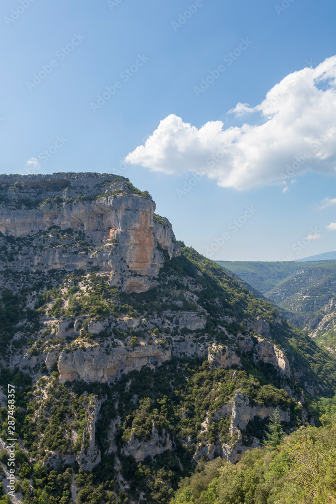 Canyon Gorges de la Nesque, gray cliffs with green forest in summer sunny day in Provence, South France Canyon Gorges de la Nesque, gray cliffs with green forest in summer sunny day in Provence, South France
