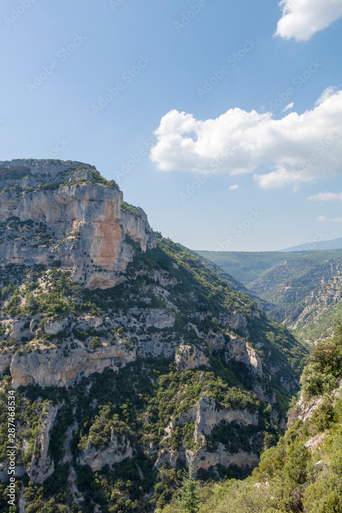 Naklejka premium Canyon Gorges de la Nesque, gray cliffs with green forest in summer sunny day in Provence, South France