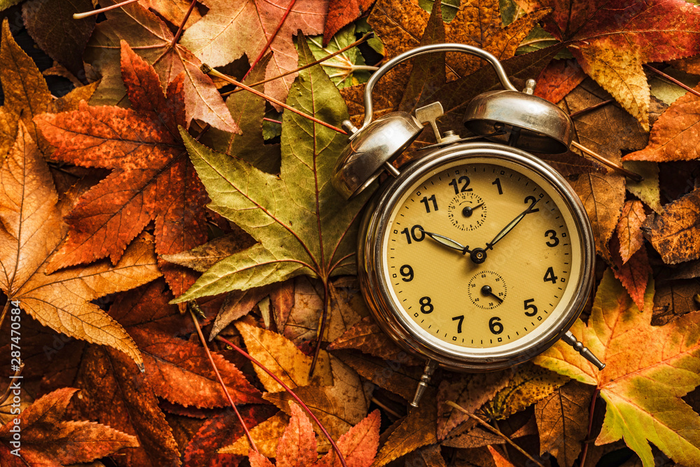 Fototapeta premium Autumn season time