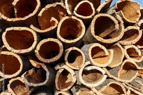 Harvested cork oak bark from the trunk of cork oak tree (Quercus suber) for industrial production of wine cork stopper in the Alentejo region, Portugal