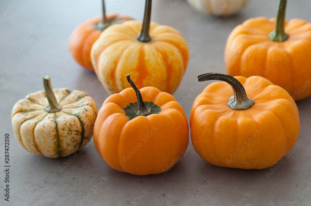 Obraz premium halloween pumpkins isolated on table