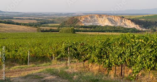 Weinfelden photo