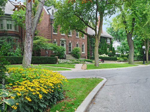 Photography Tree-lined residential street with large brick detached houses