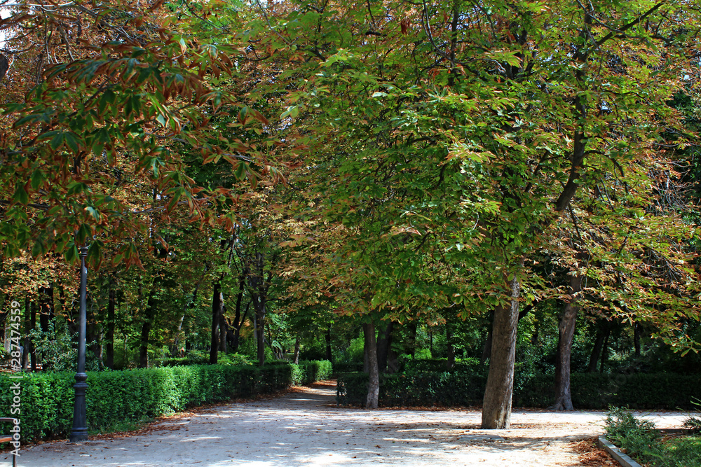 Naklejka premium Madri