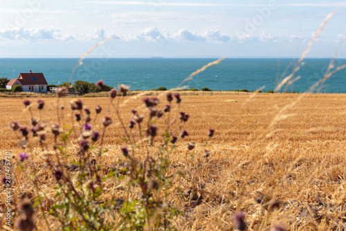 Fotografie, Obraz View of La Manche from Pas de Calais