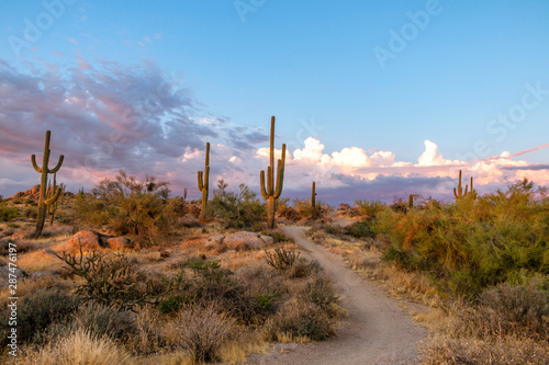 Desert Mountain Biking Trail Near Phoenix Arizona