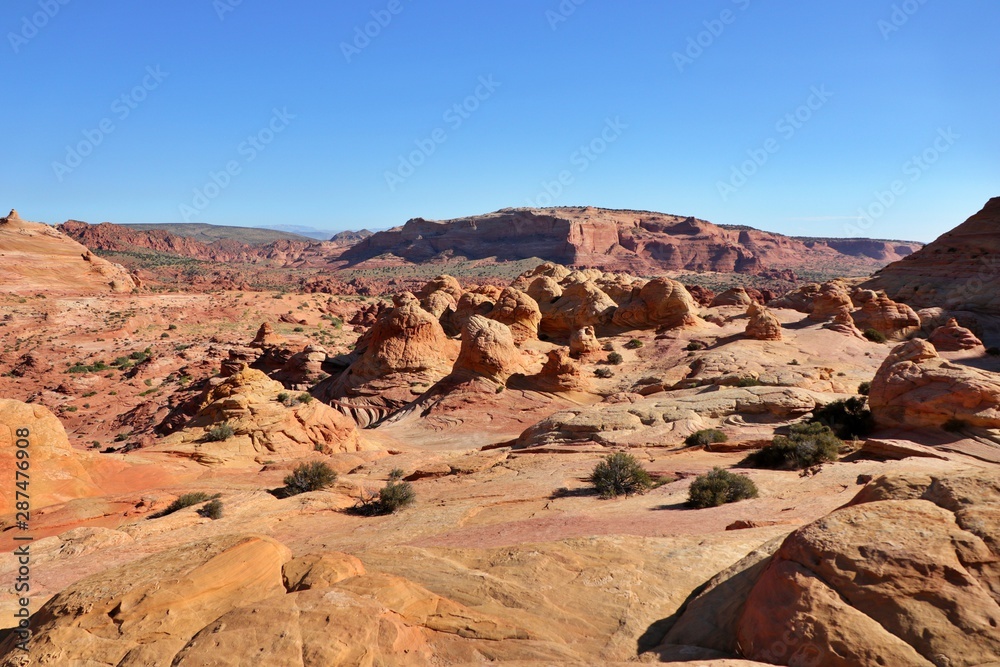 Fototapeta premium Trail to The Wave