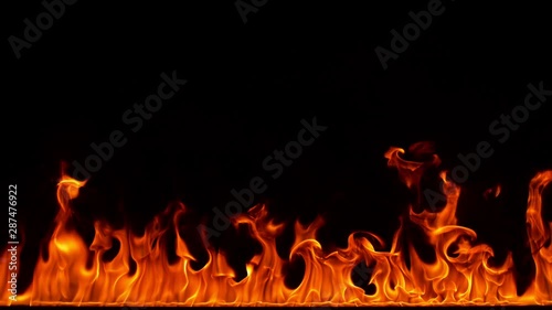 Wallpaper Mural Fire line in super slow motion isolated on black, shooting with high speed cinema camera in 4K. Torontodigital.ca