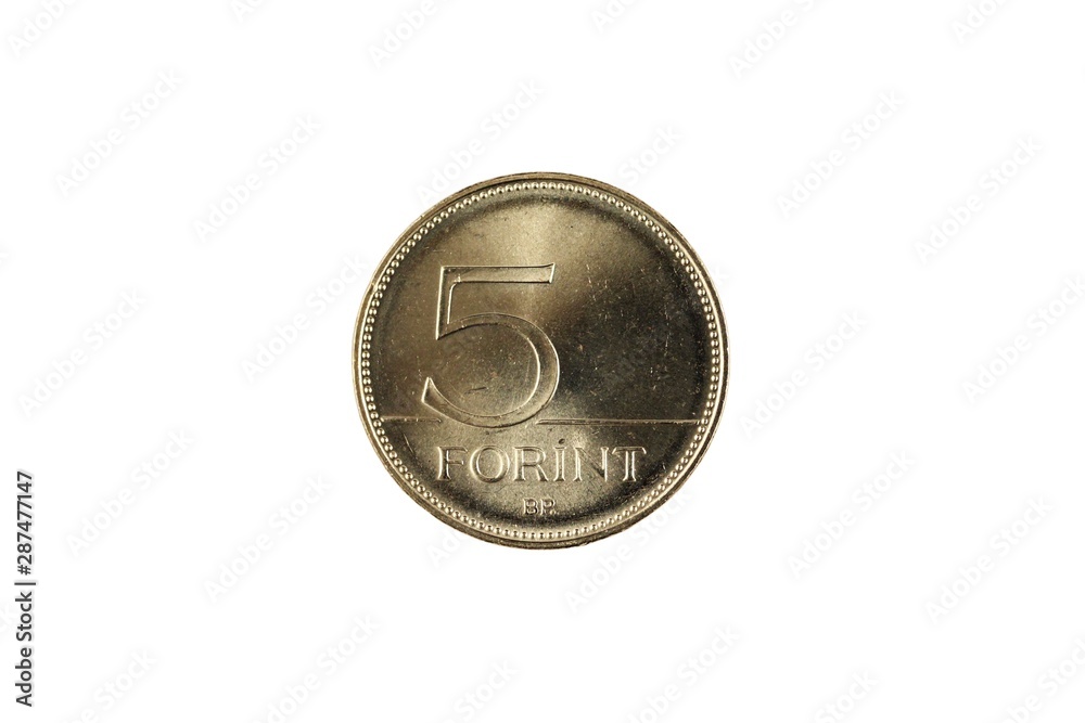 A Hungarian five forint coin, shot close up in macro, against a white background A Hungarian five forint coin, shot close up in macro, against a white background