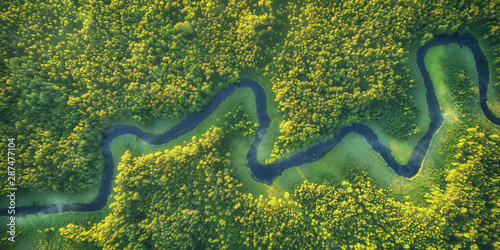 Wild river landscape from the drone photo