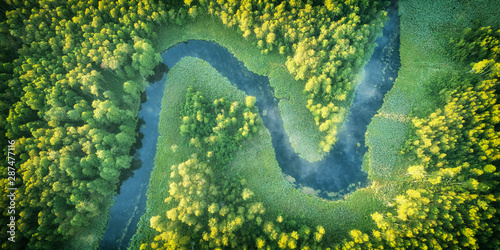 Fototapeta Naklejka Na Ścianę i Meble -  Wild river landscape from the drone
