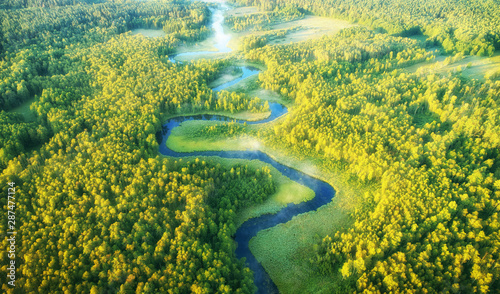 Wild river landscape from the drone