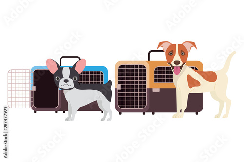 dogs and pet transport boxes on white background © grgroup