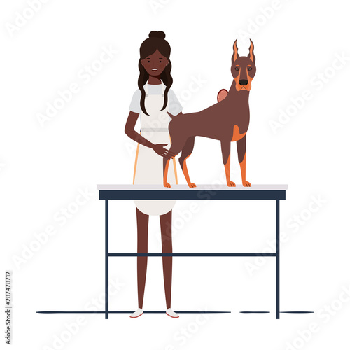 young woman combing a dog in pet groomer