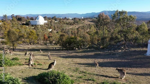 Kangaroo and Observatory