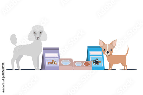 dogs with bowl and pet food on white background