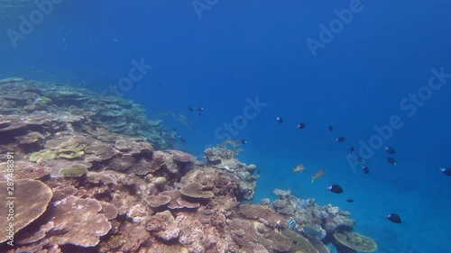 Wallpaper Mural 加計呂麻島の海と空 Torontodigital.ca