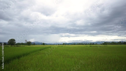 sky landscape green meadow nature blue country