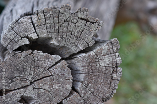 Crack on surface old wood log