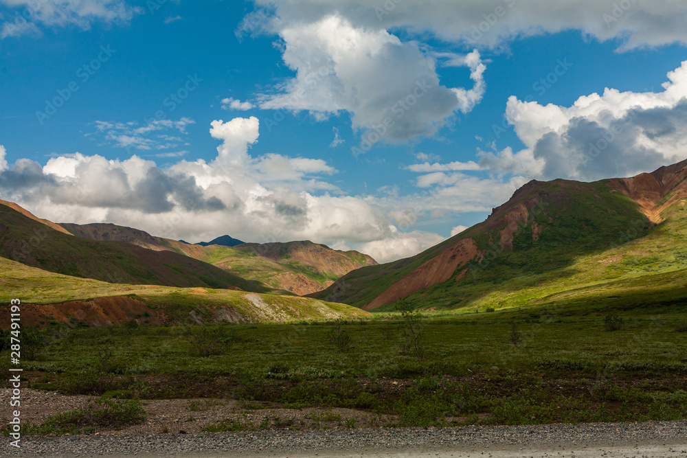 Fototapeta premium Denali National Park Landscape in Alaska