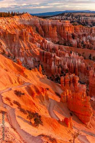 Fototapet view of bryce canyon